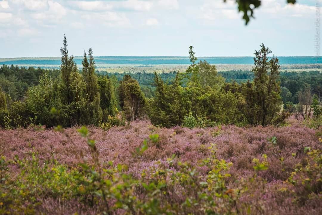 Ferienwohnung Ram 1 Херманнсбург Экстерьер фото